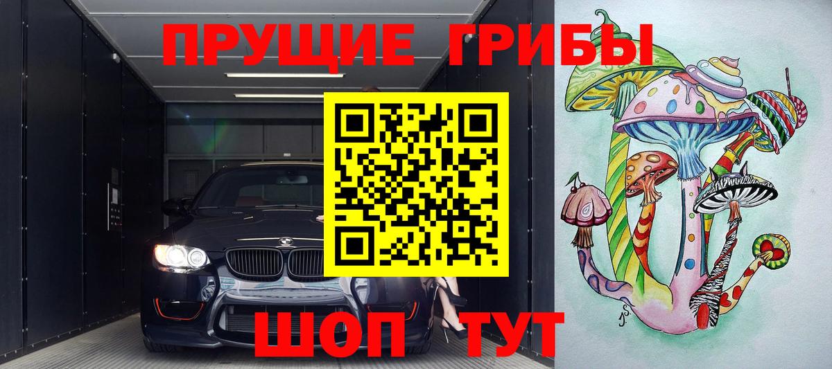 Псилоцибиновые грибы Psilocybine cubensis Тулун