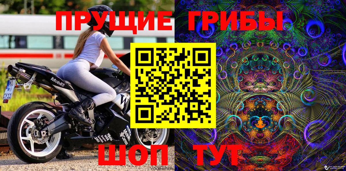 Тулун  Галлюциногенные грибы Psilocybine cubensis  Вход с VPN 